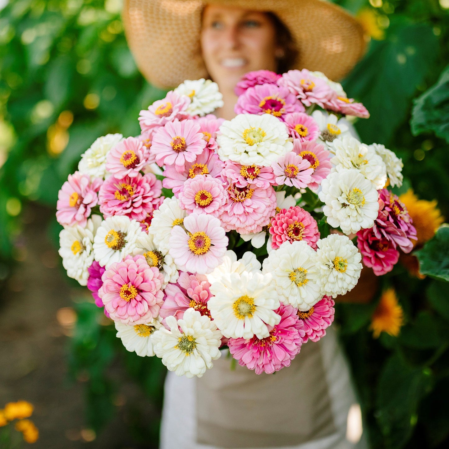 Zinnia Seeds - Isn't This Romantic Mix